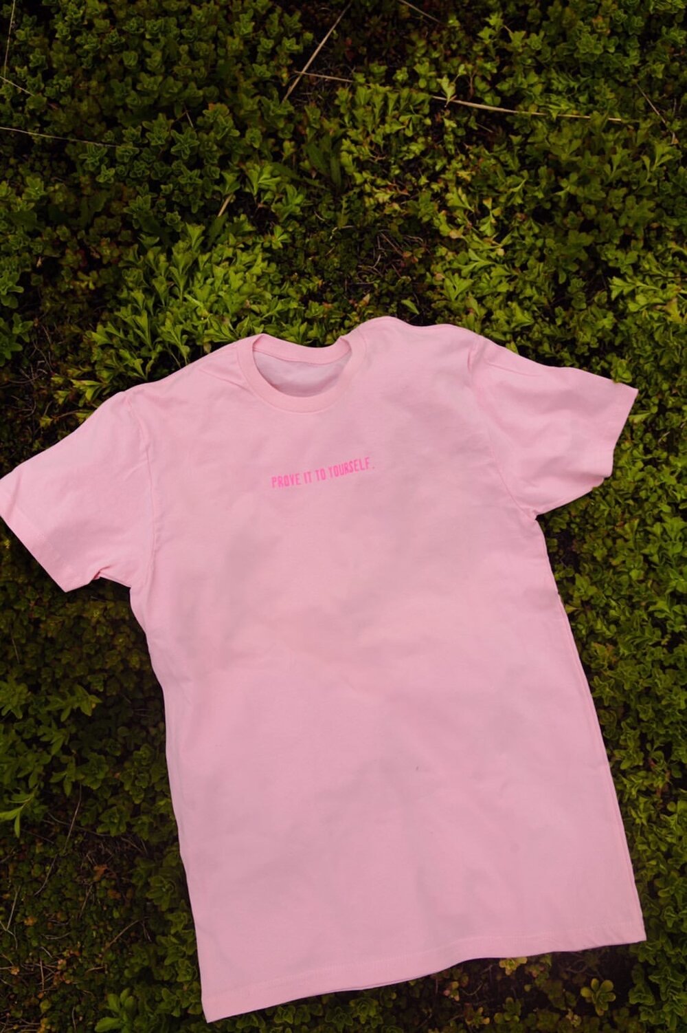 PROVE IT TO YOURSELF T-SHIRT (PINK/PINK)